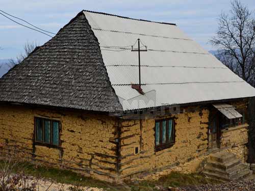 Foto Buteasa la Izvoare (c) Lucian Petru Goja